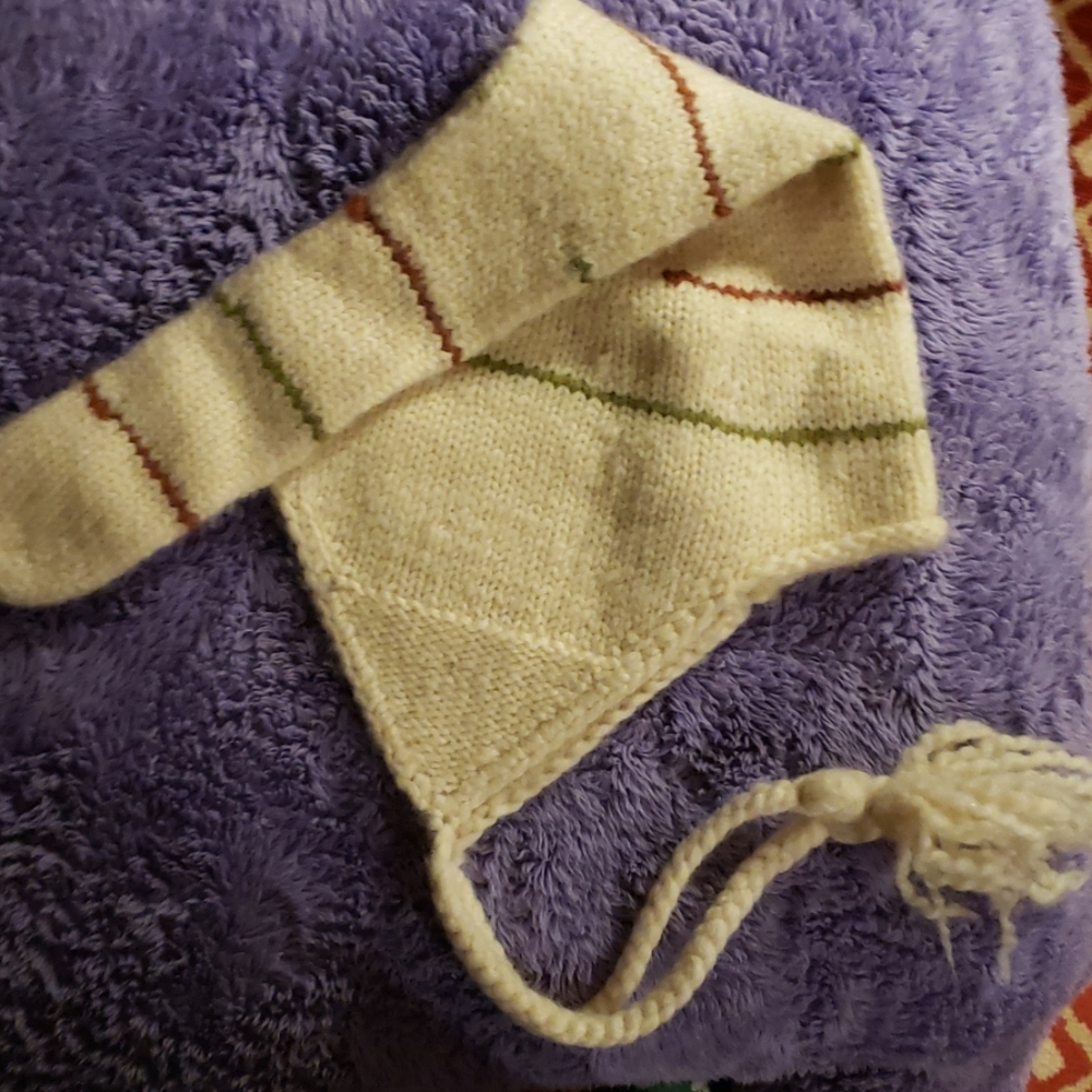 Jcrew winter hat
